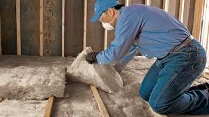 Best Insulation Removal  in Williamstown, NJ