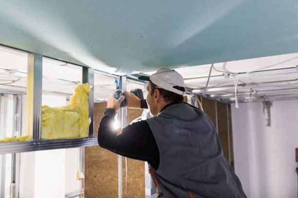 Best Insulation for New Construction  in Williamstown, NJ